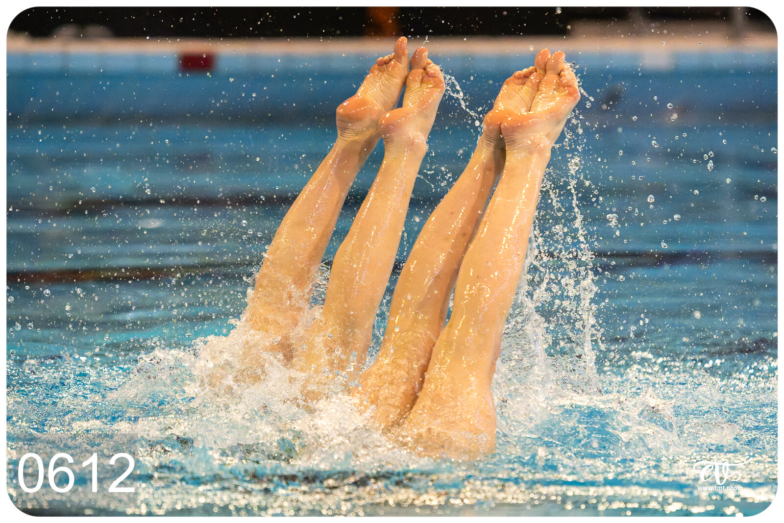 CHAMPIONNAT DE FRANCE DE NATATiON ARTISTIQUE N1 & ELITE 2026